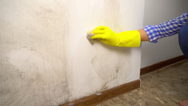 Best Commercial Mold Inspection  in Latham, NY