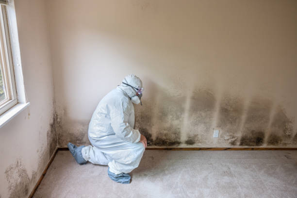 Asbestos and Lead Testing During Mold Inspection in Latham, NY